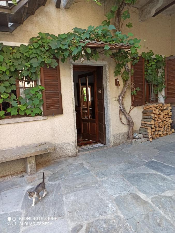 מלון Castiglione dʼIntelvi Casa Olmi מראה חיצוני תמונה
